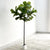Real Touch Fiddleleaf Faux Tree 5.5'