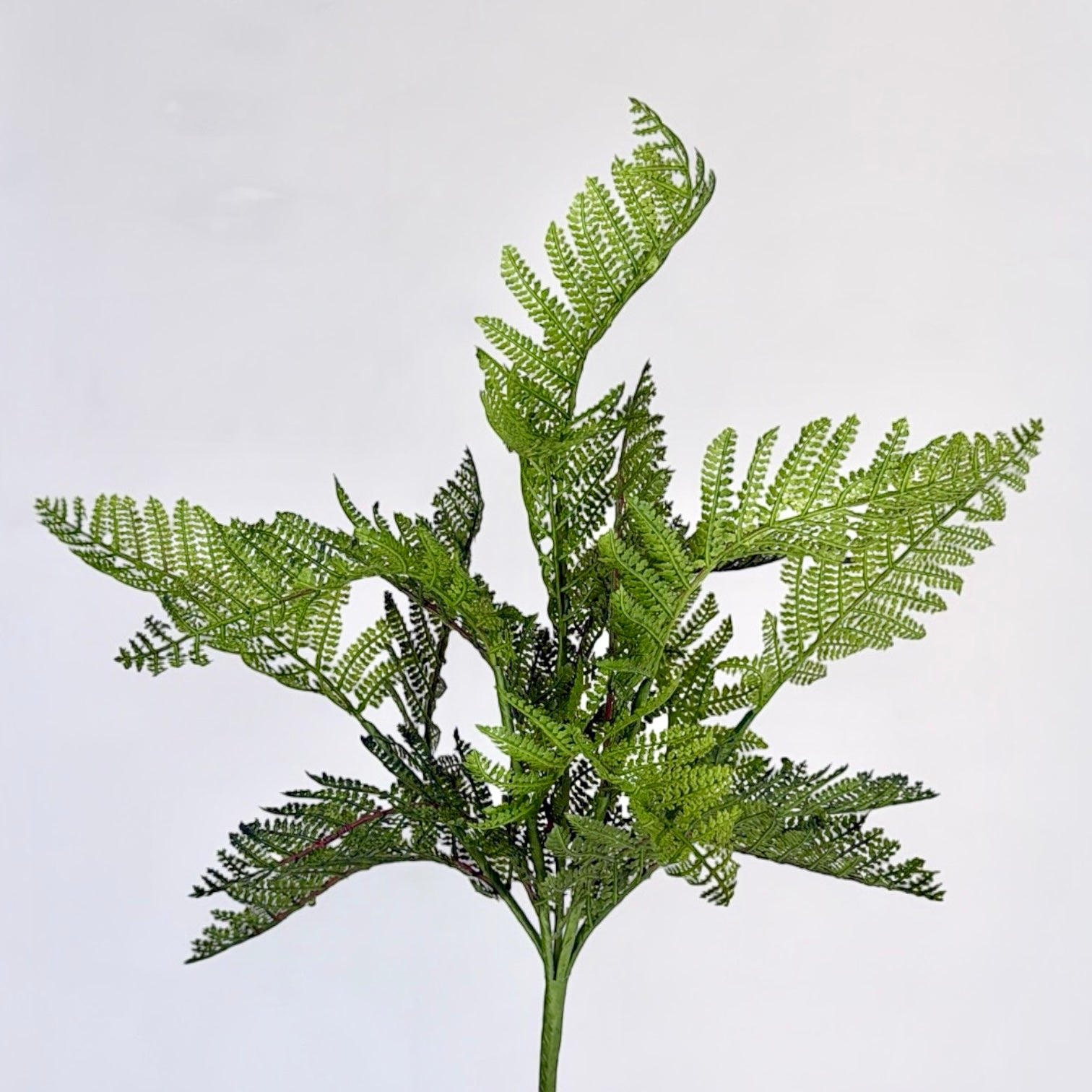 Boston Fern Bush Faux