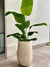 Concrete Smooth Finish Fiber Clay Planter