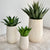 Brimstone Tall Fiber Clay Planter