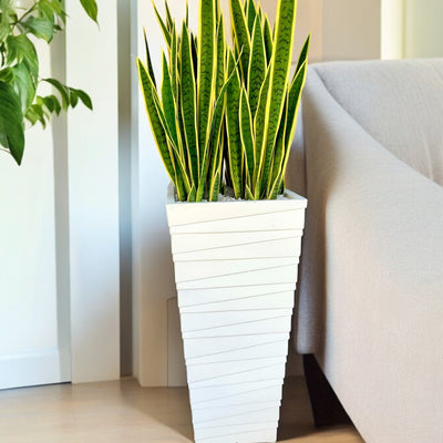 Fiber Clay Multi Line Terrazzo Planter