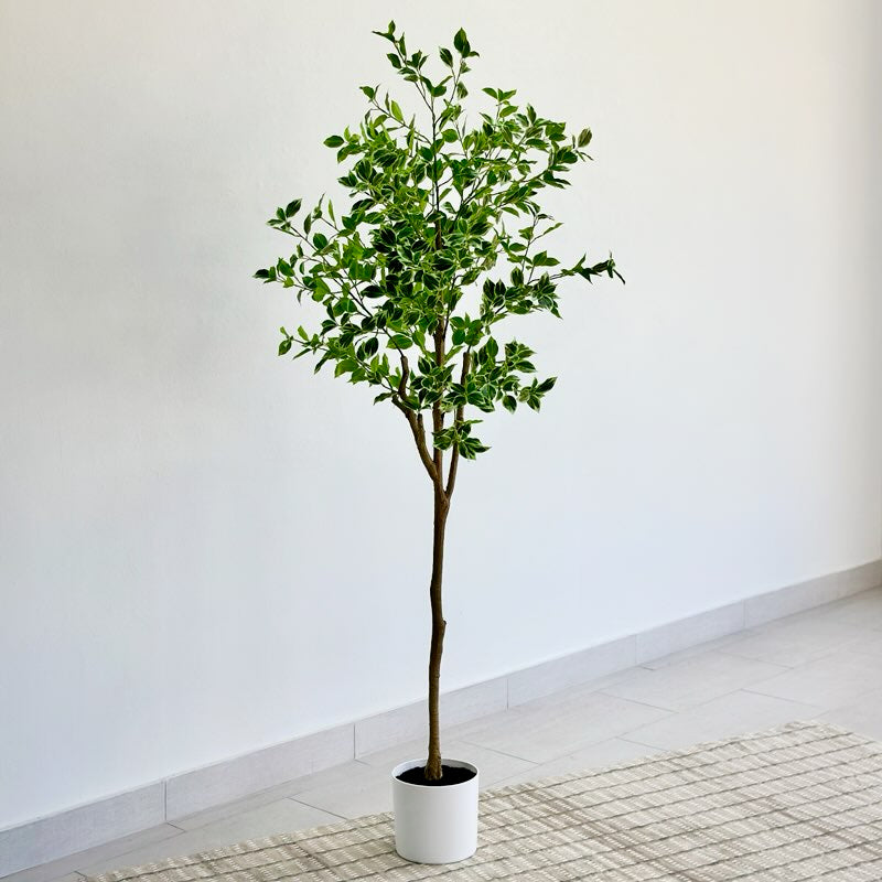 Real Touch Enkianthus Tree 71"