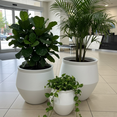 Barrel Smooth White Finish Fiber Clay Planter