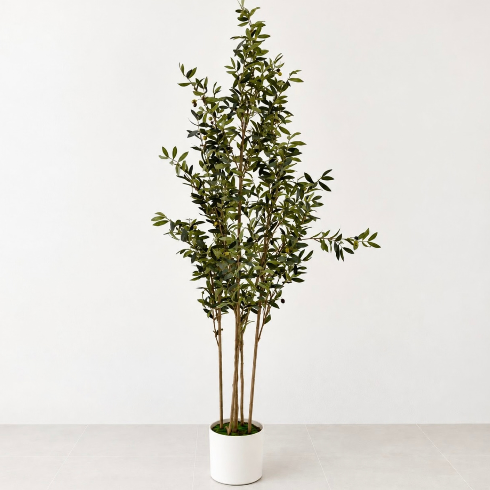 Olive Tree Faux