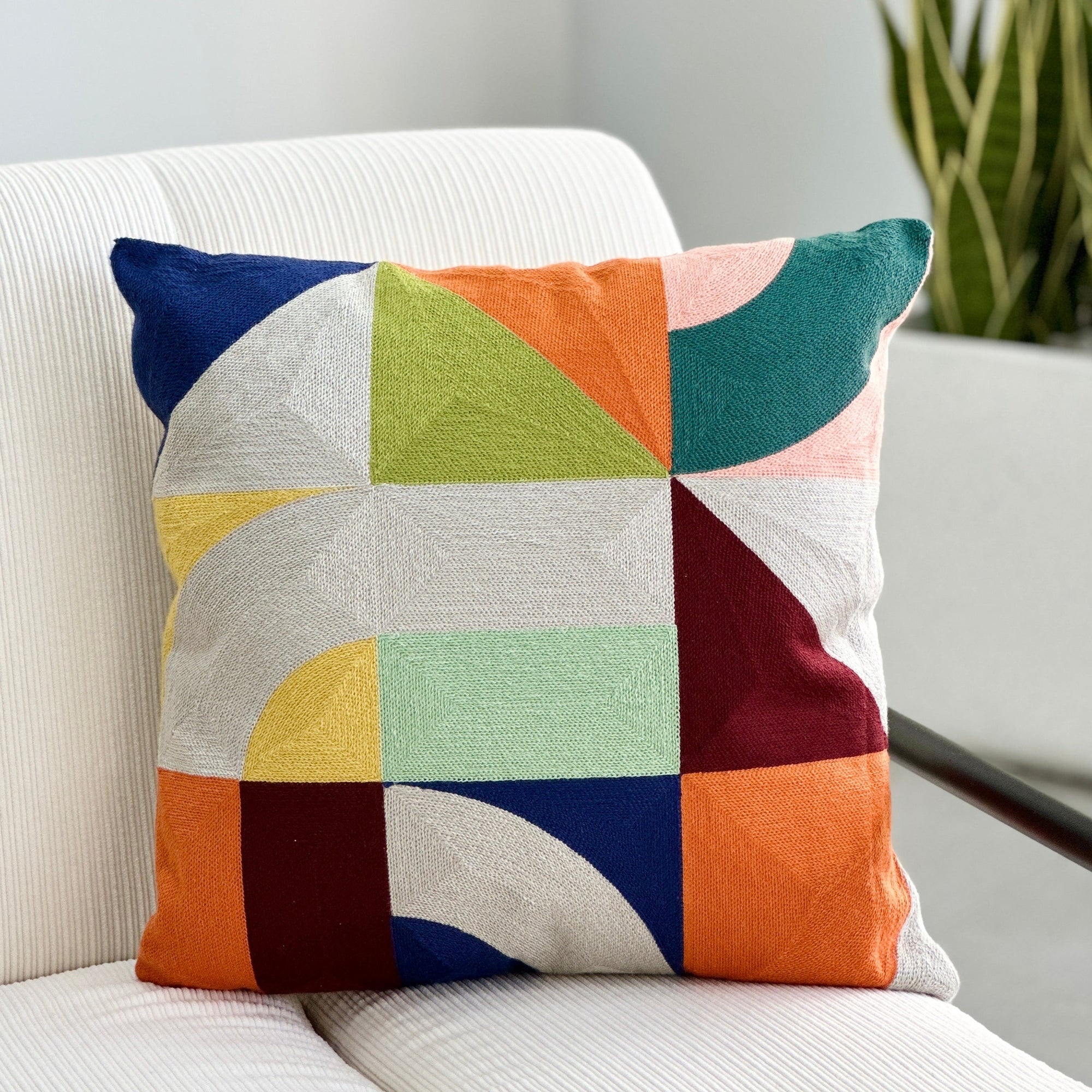 Color Splash Embroidered Pillow