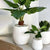 Drop Carved Lines Fiber Clay Planter