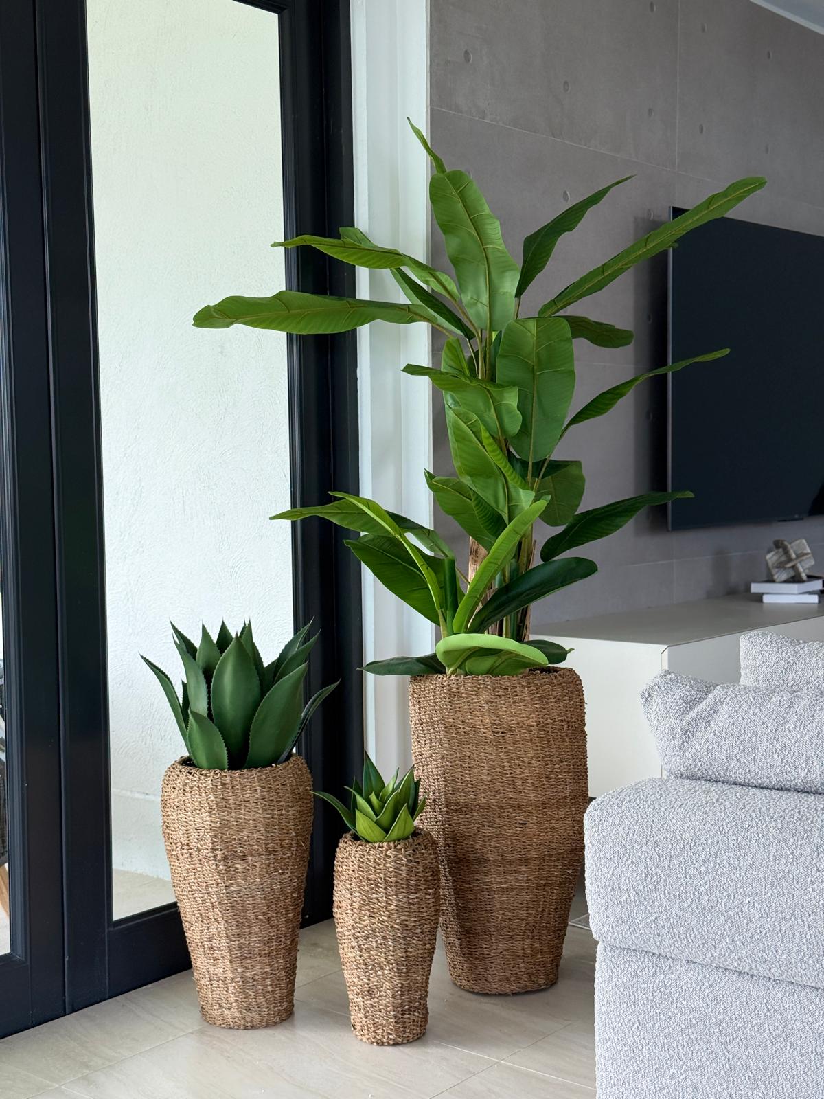 Round Conical Top wicker & Iron Frame Planter