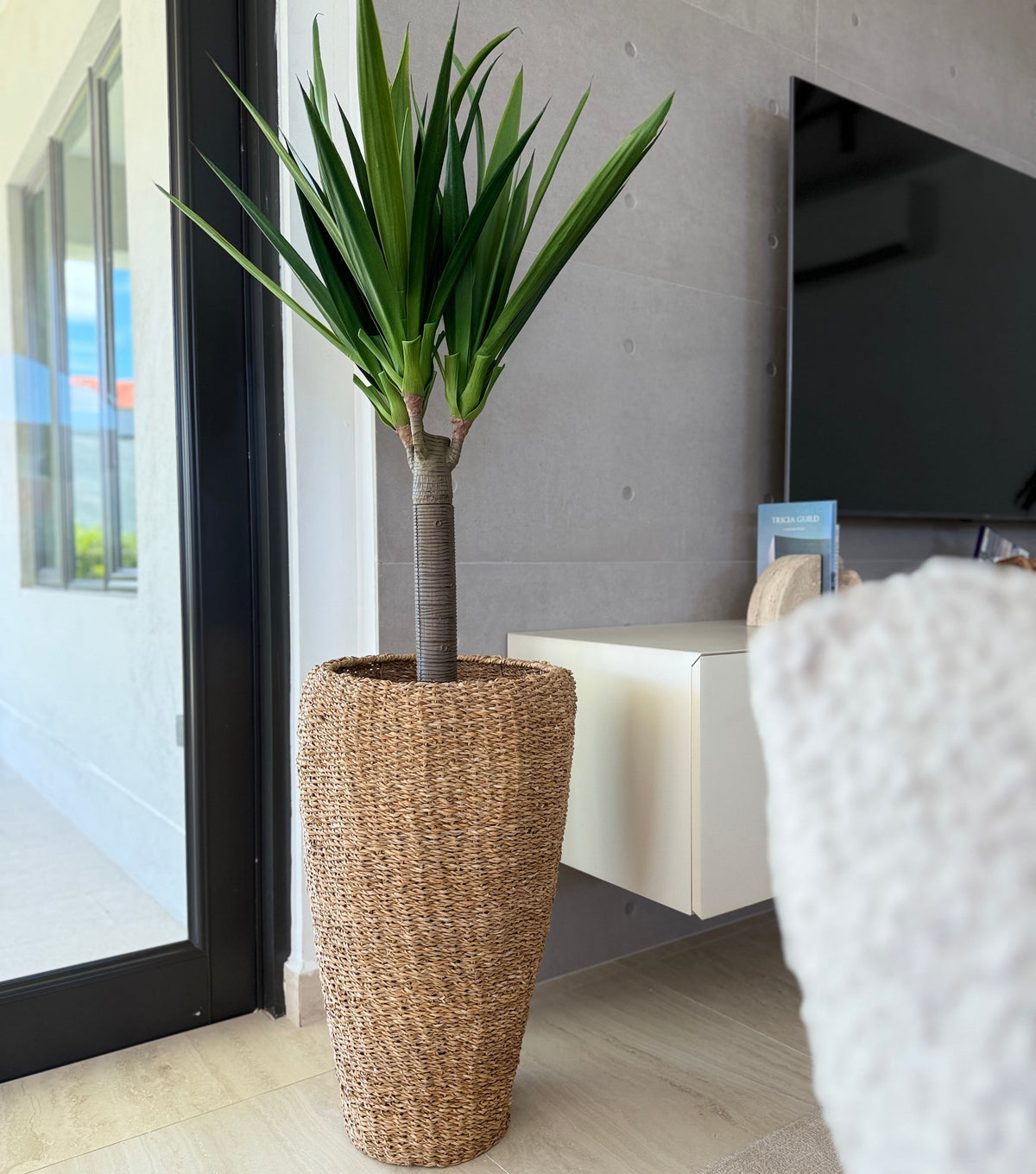 Manihot Plant and Wicker Planter Set