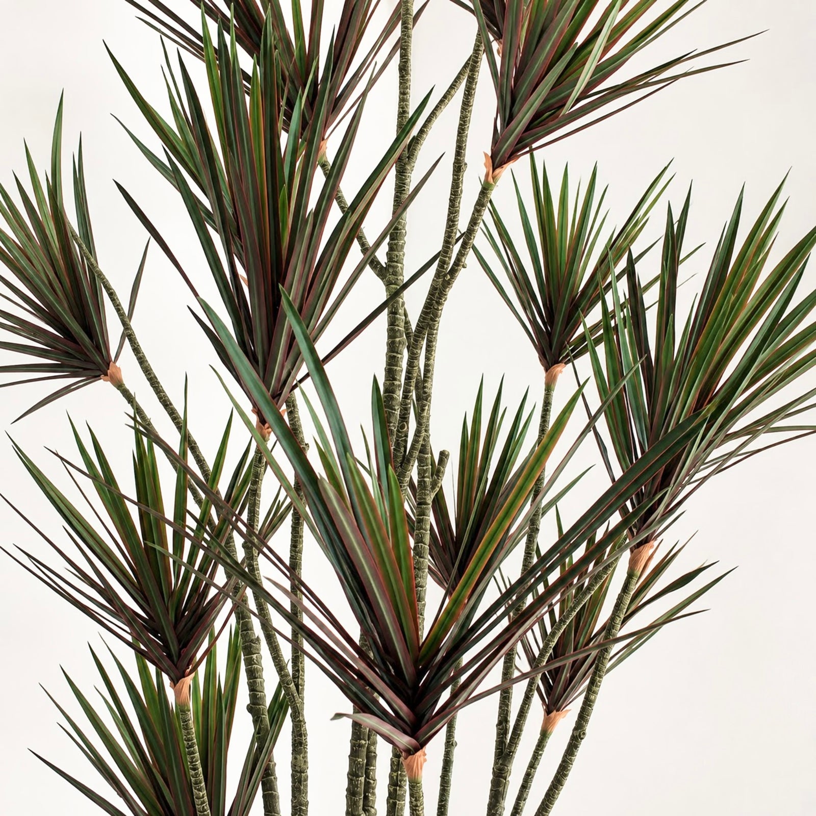 Giant Yucca Faux Tree 9