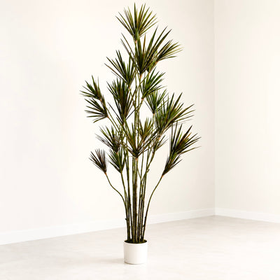 Yucca Faux Tree Large