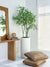 Potted Faux Ficus 5'