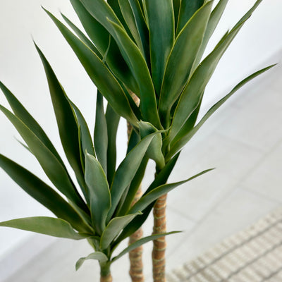 Yucca Faux Tree