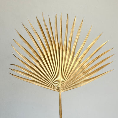 Single Metallic Gold Fan Palm
