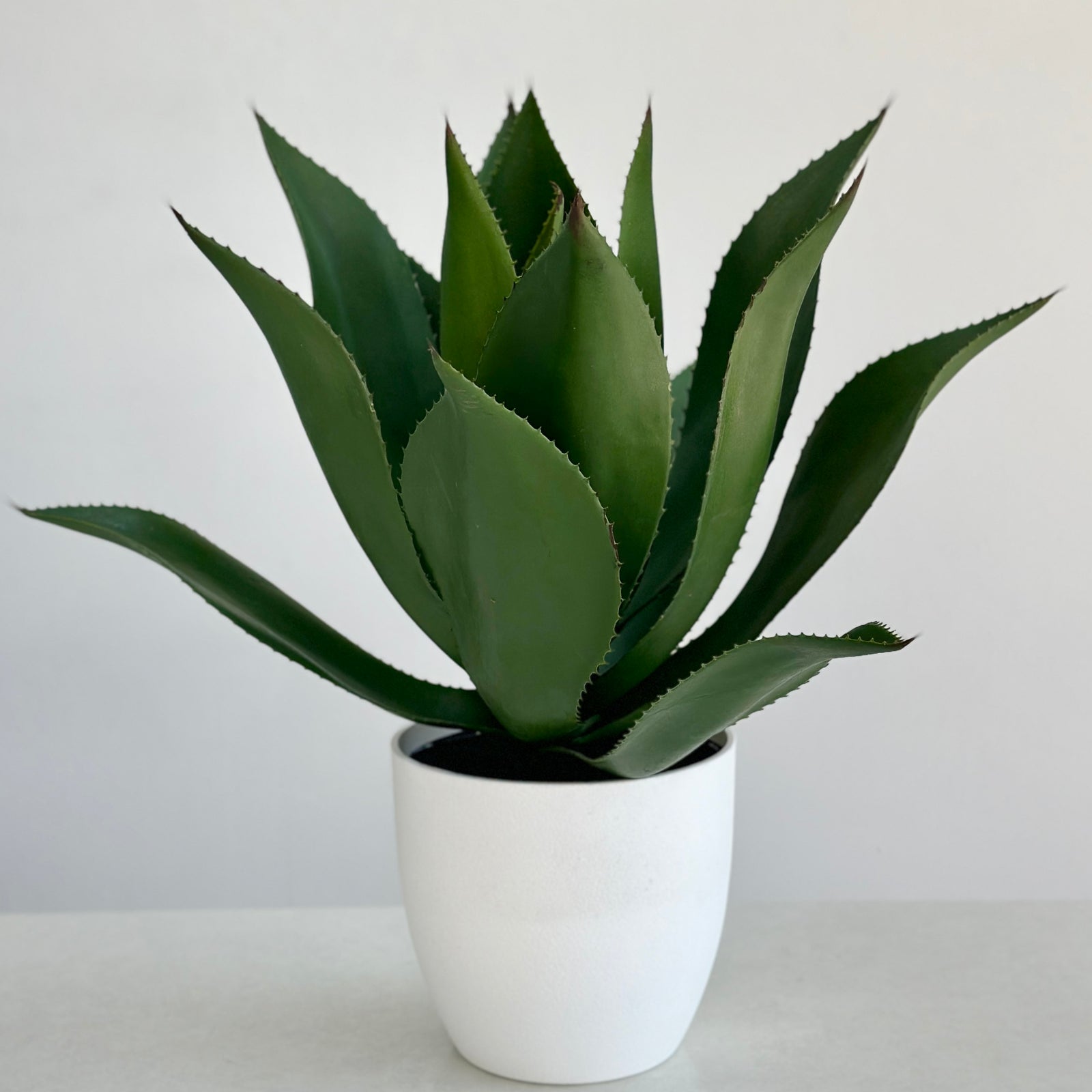 Foxtail Faux Agave Spike