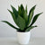 Foxtail Faux Agave Spike