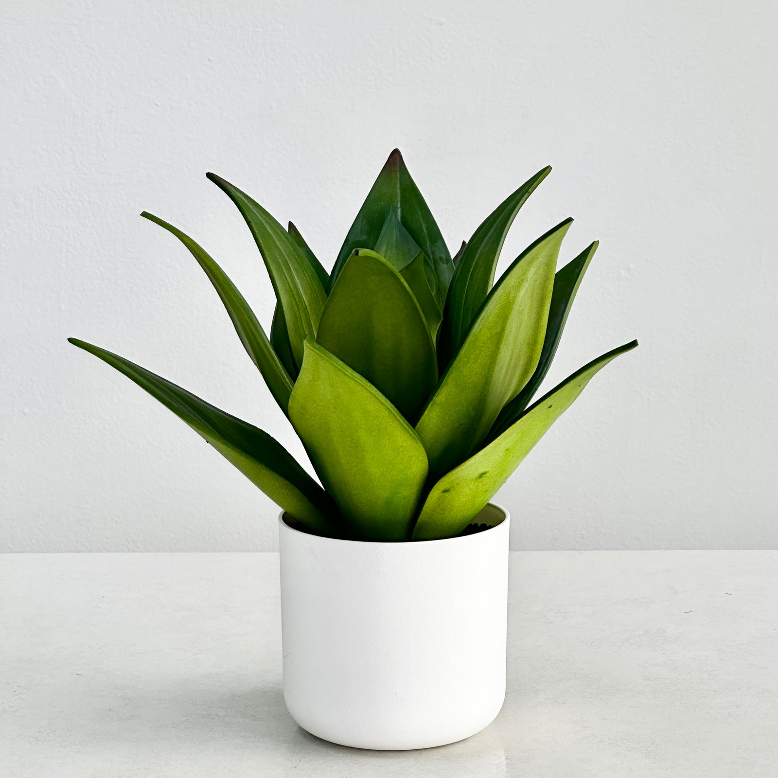 Mini Potted Faux Agave