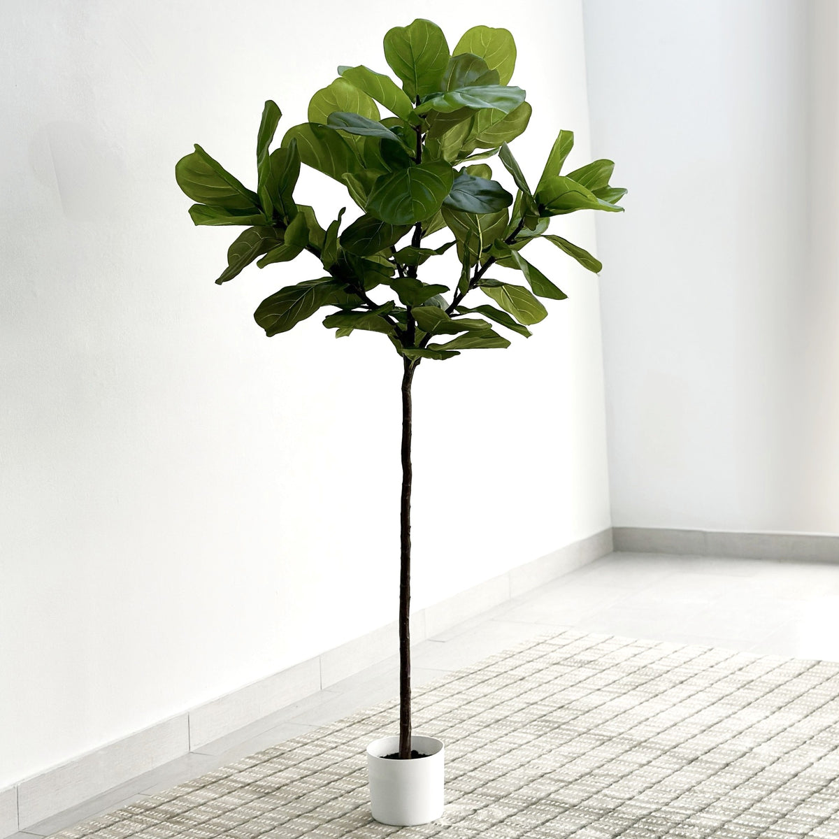 Real Touch Fiddleleaf Faux Tree 5.5'