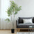 Potted Faux Ficus 5'