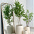 Real Touch Enkianthus Tree 71"