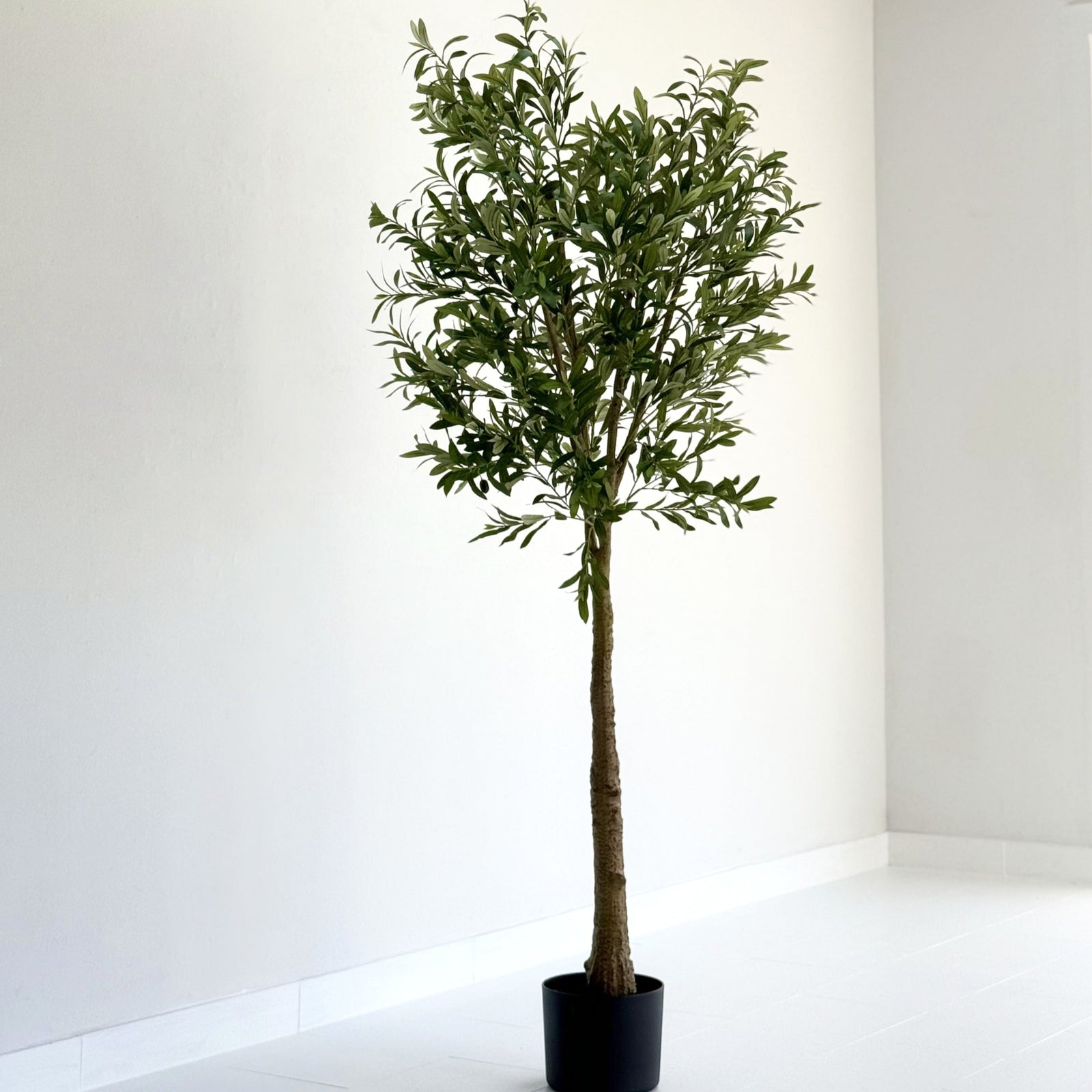 Faux Potted Olive Tree 8'