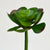 Wild Stone Green Faux Succulent Flower