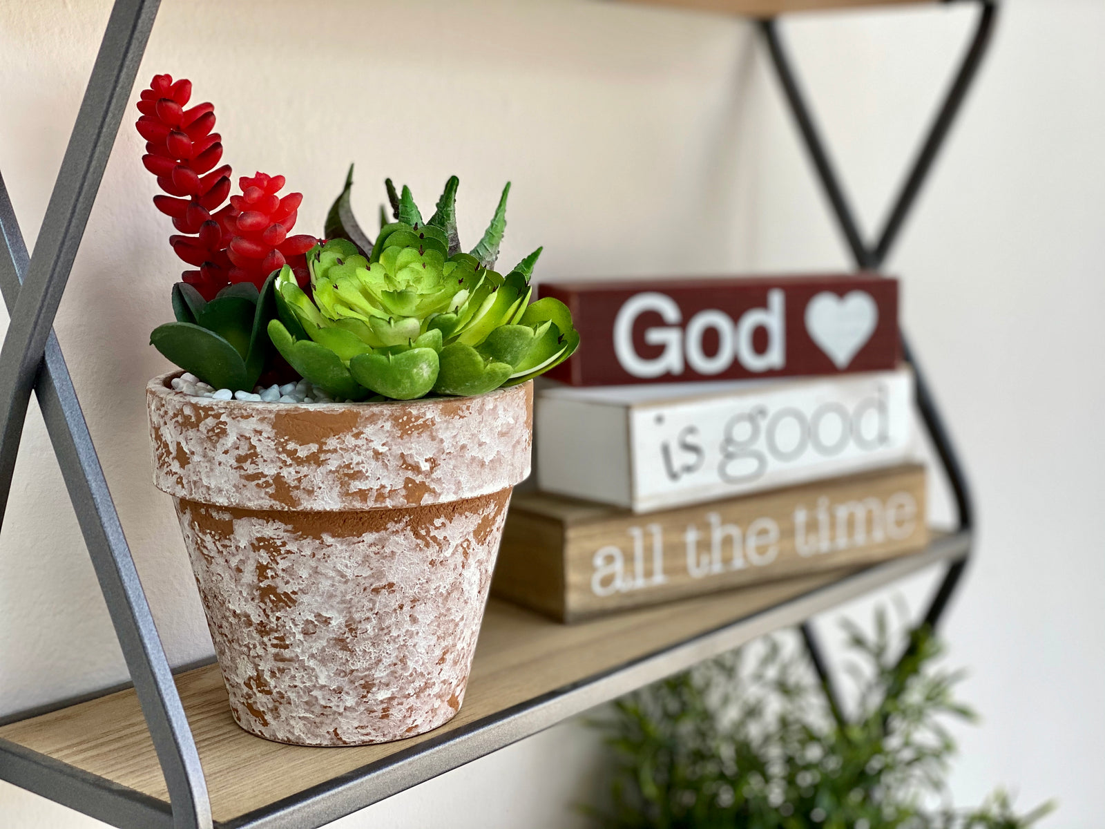 Succulent Arrangement in a Round Mud Pot