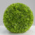 Topiary Green Leafy  Ball 8"