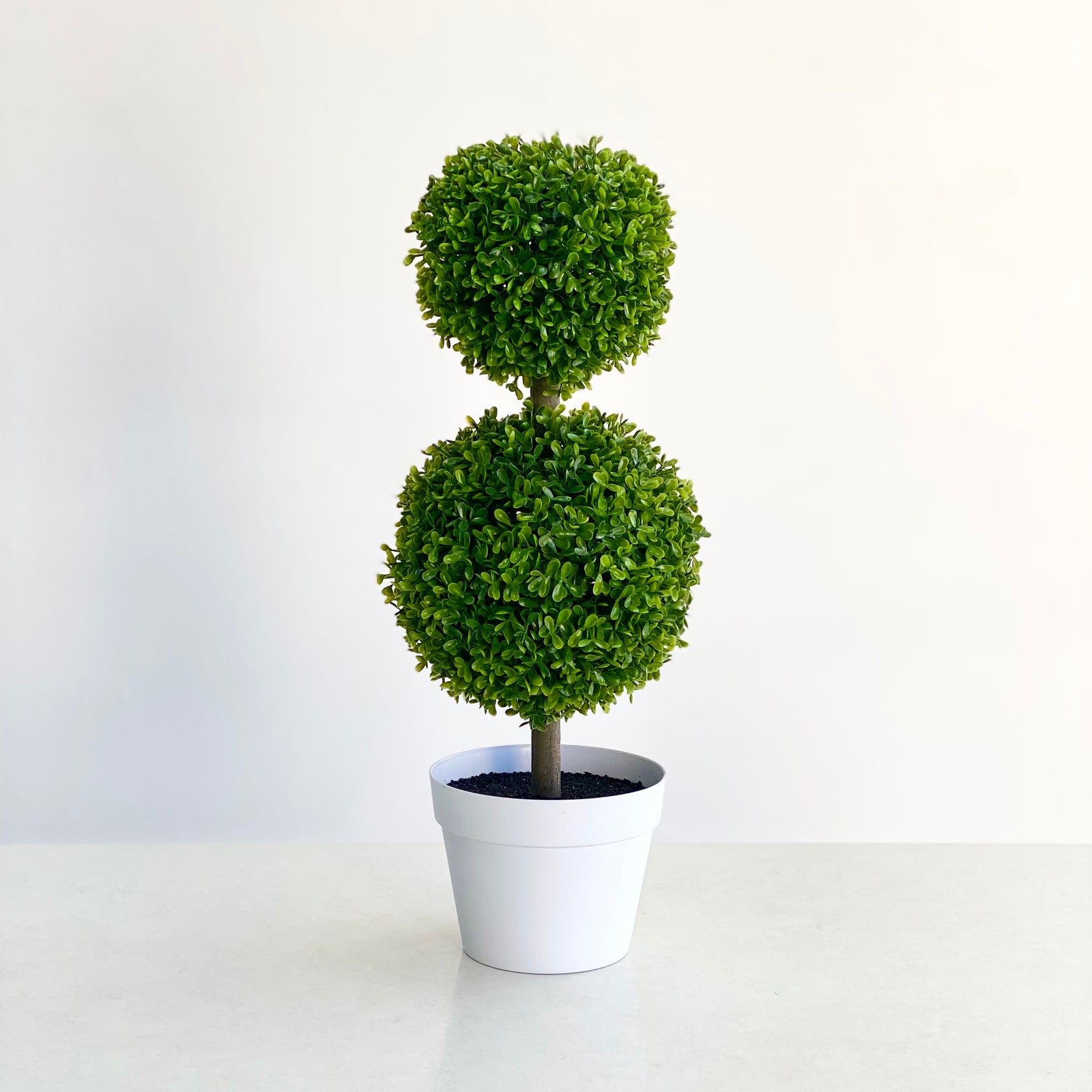 Two Topiary Tree in a Pot
