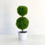 Two Topiary Tree in a Pot