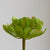 Chartreuse Green Synthetic Succulent Flower