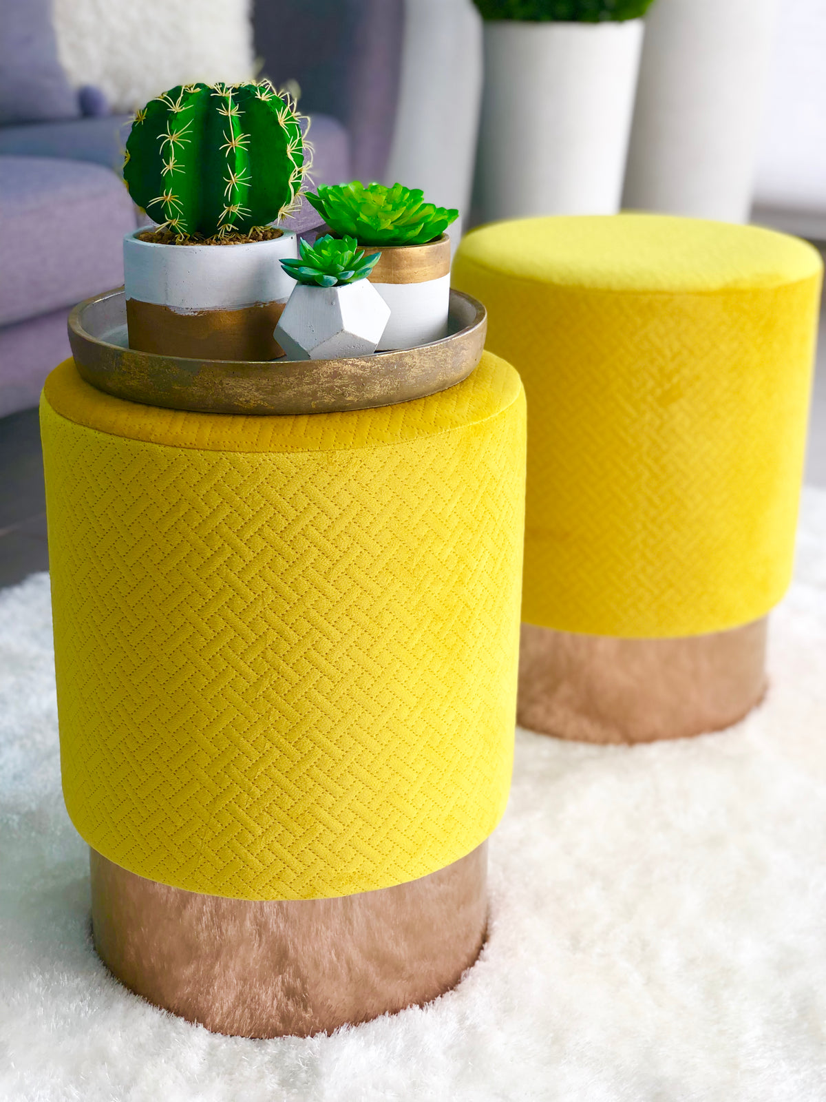 Synthetic Cactus in a White & Gold Pot