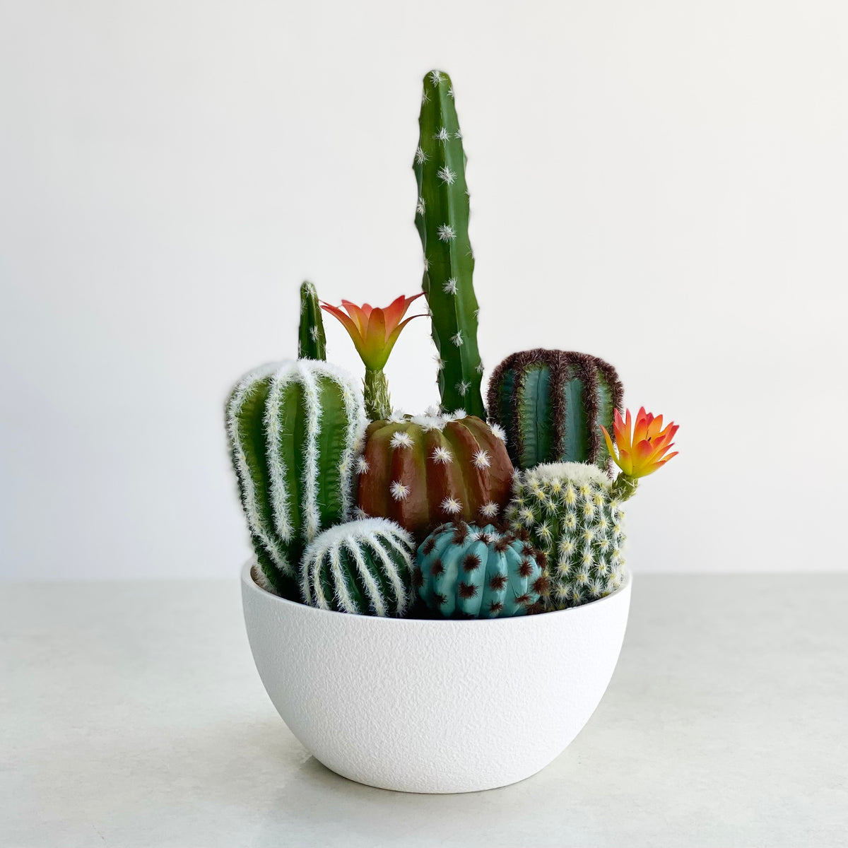 Cactus Potted Bouquet