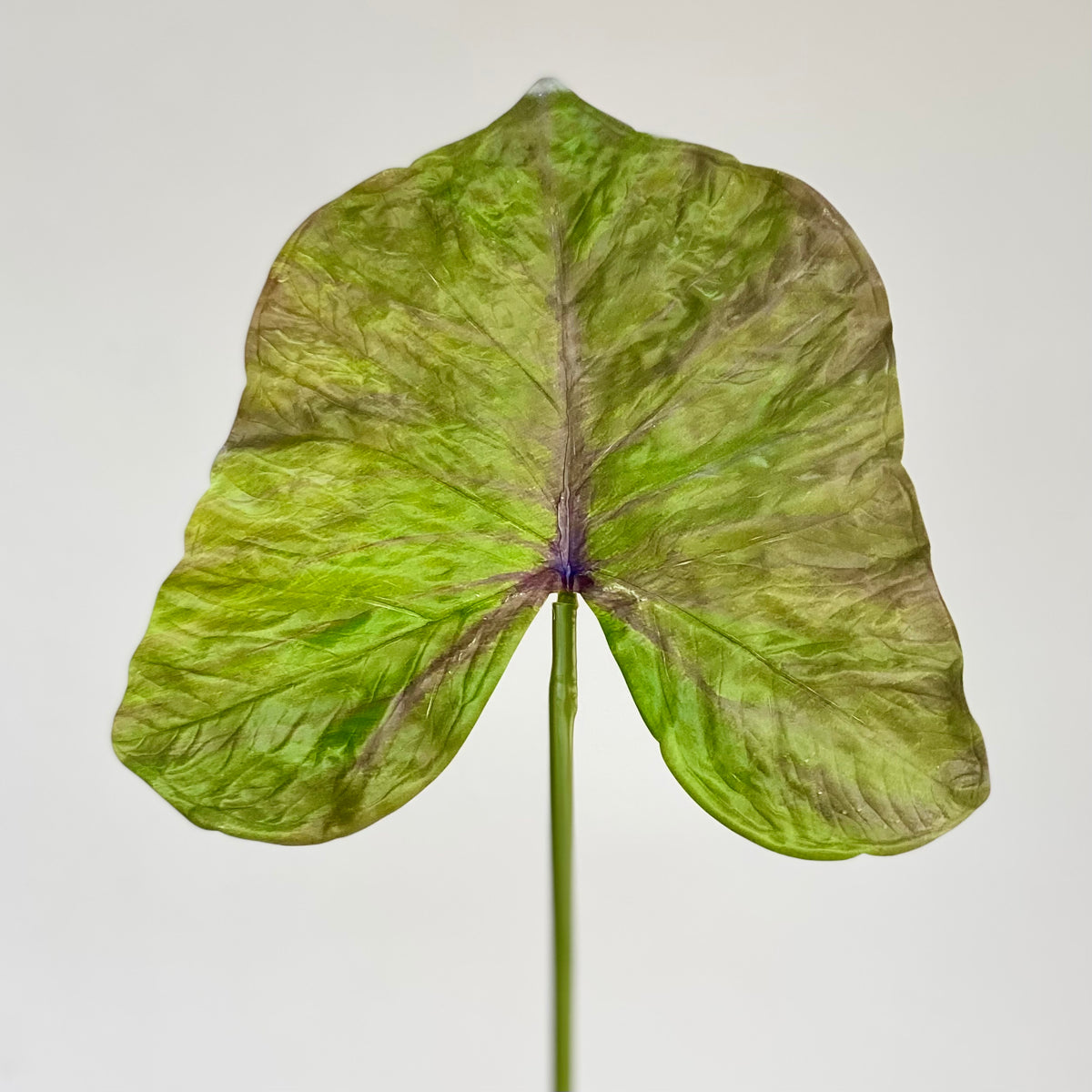 Real Touch Giant Calla Leaf