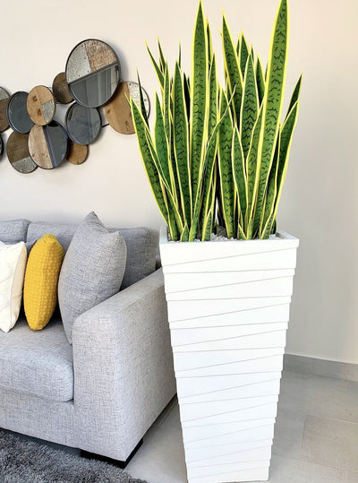 Fiber Clay Multi Line Terrazzo Planter