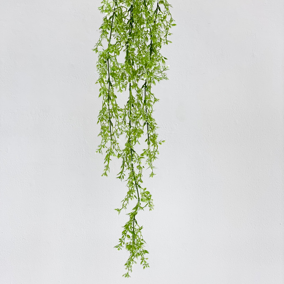 Montiaceae Hanging Faux Plant