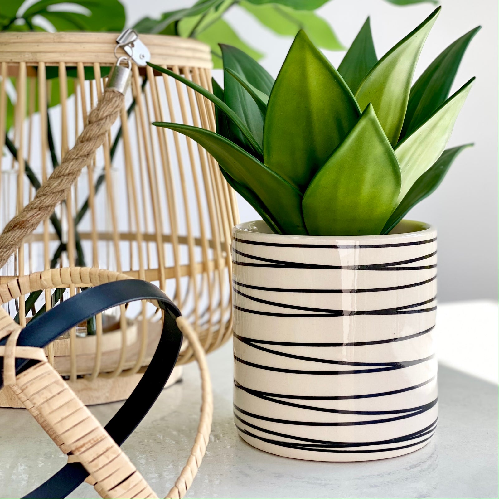 Ceramic Ivory Round Pot Planter