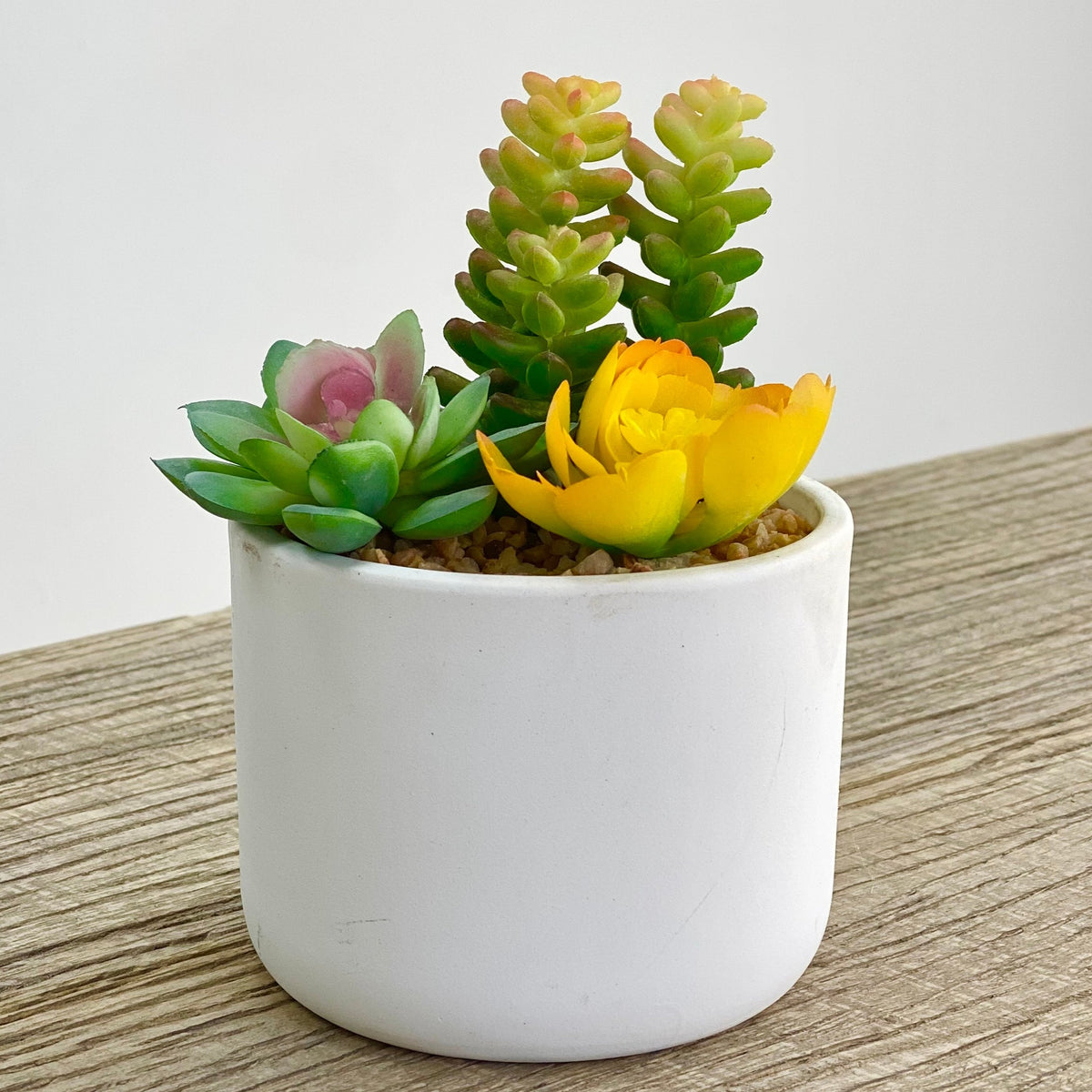 Potted Green and Yellow Assortment Faux Succulent