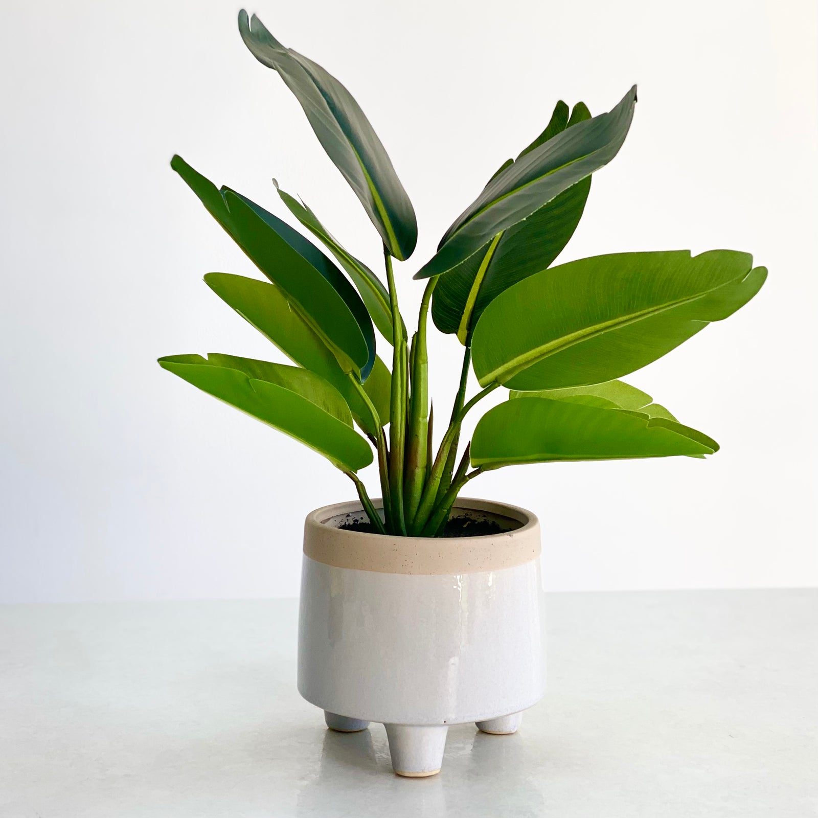 Bird of Paradise Faux Ceramic Pot