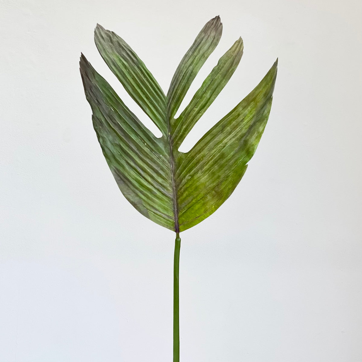 Real Touch Betel-Nut Giant Leaf