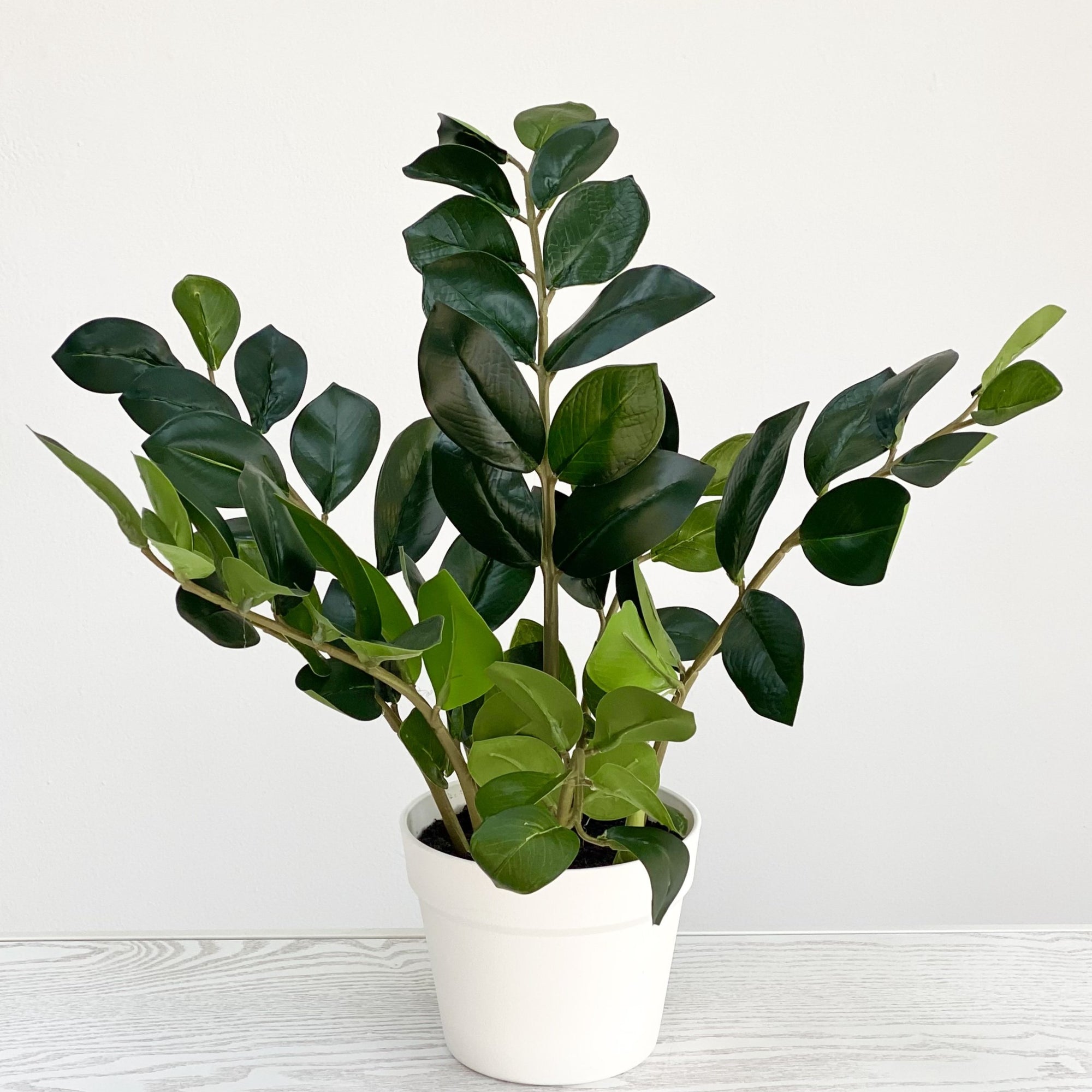 Eternity Potted Plant 23"