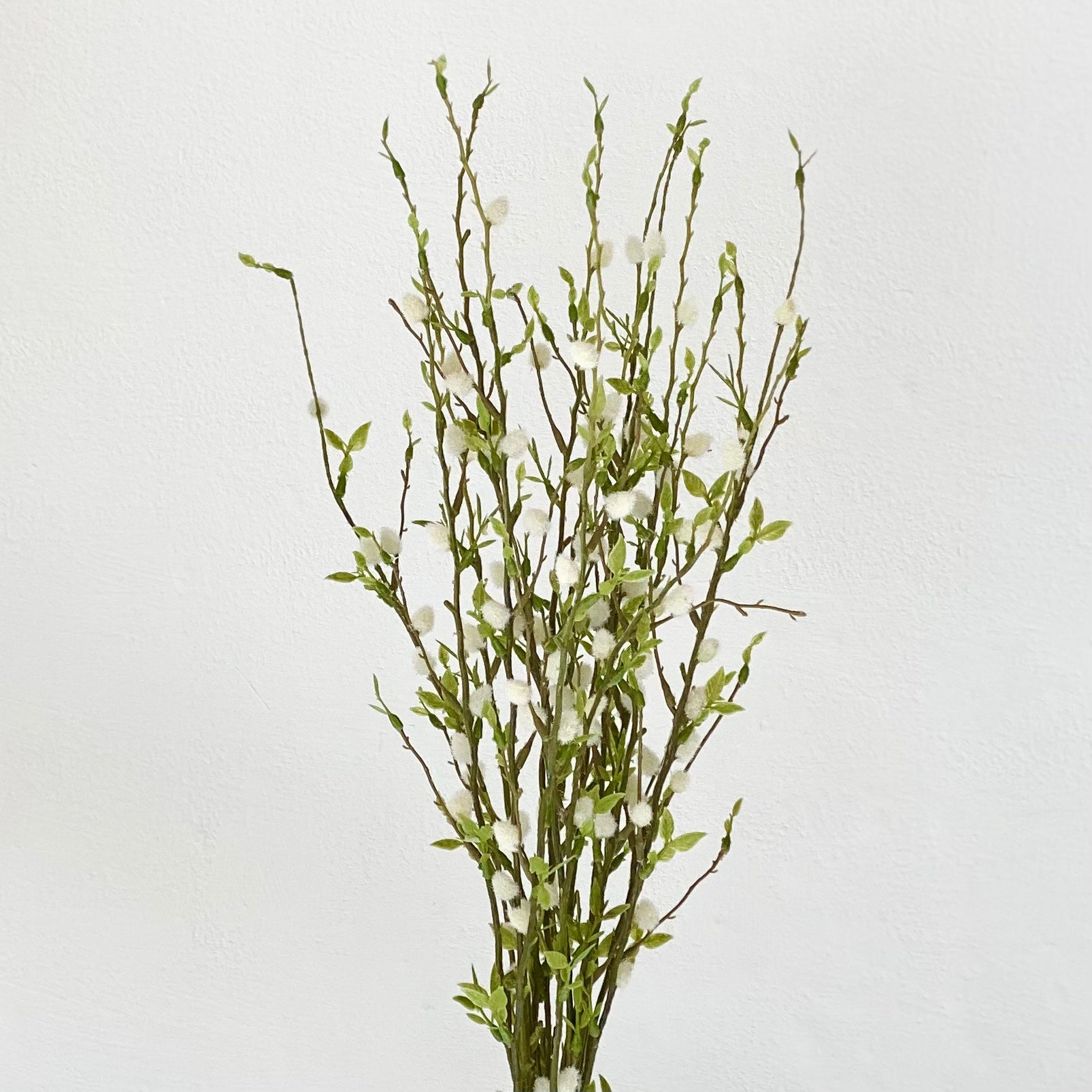 Salix Argyracea Bouquet