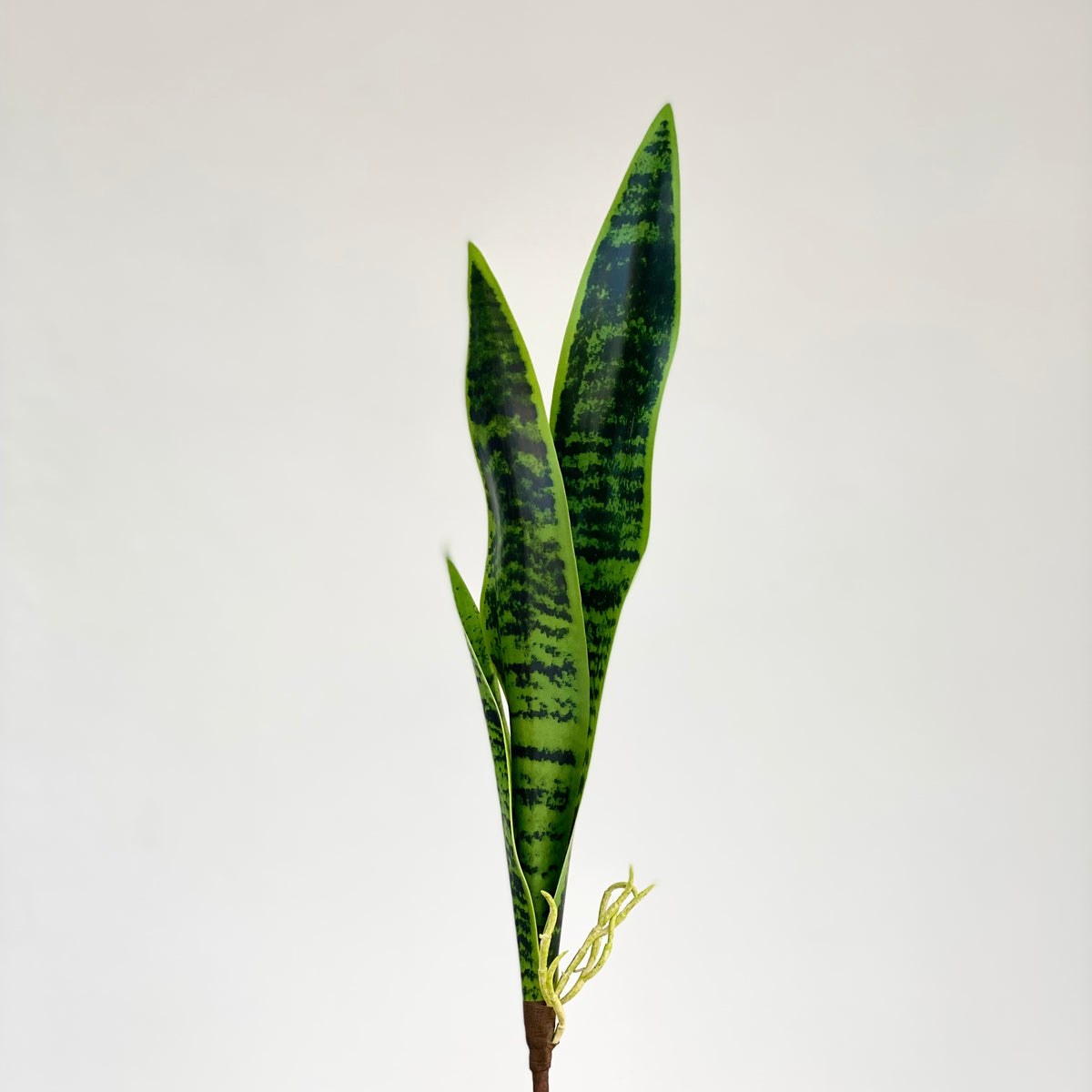 Sansevieria Faux Green Leaves Spike