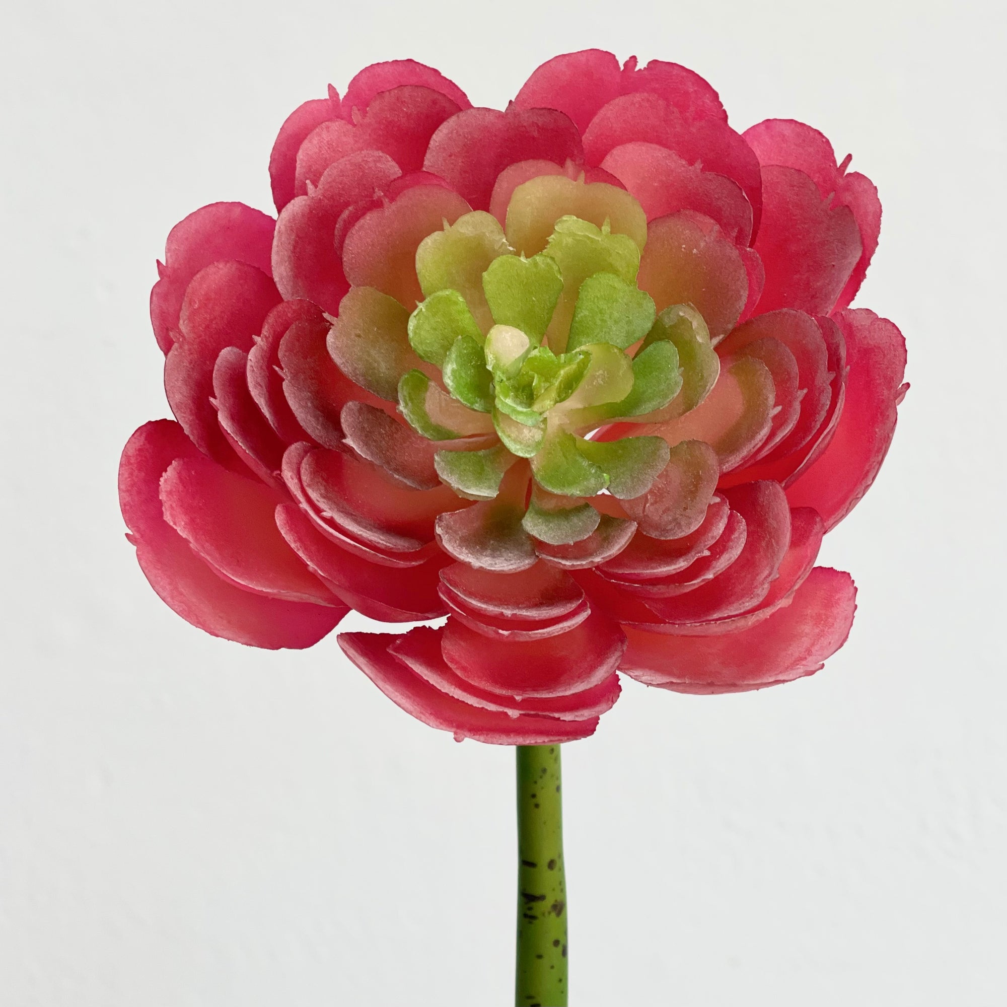 Faux Coral Succulent Flower