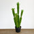 Cactus Faux Potted Plant
