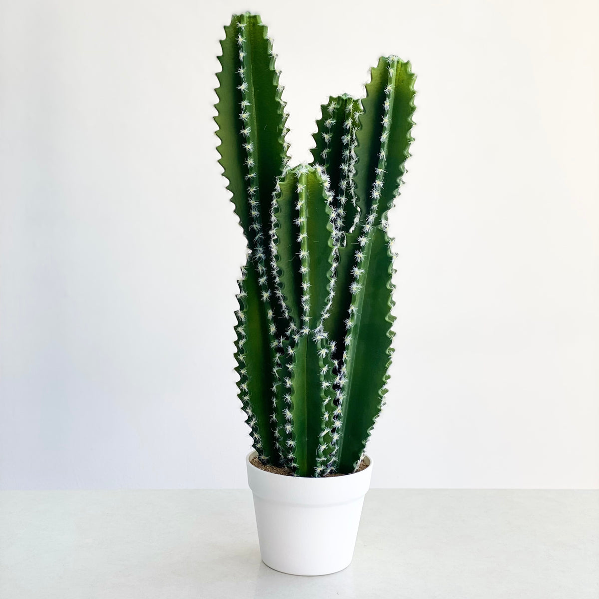 Cereus Faux Cactus
