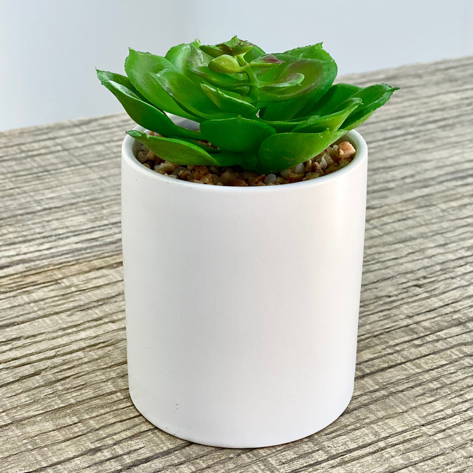 Green Rose Succulent Cylinder Vase