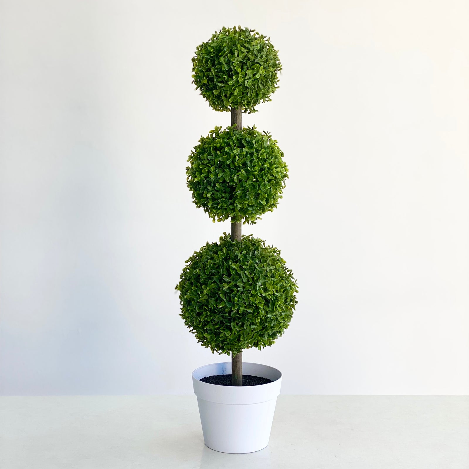 Three Topiary Tree in a Pot