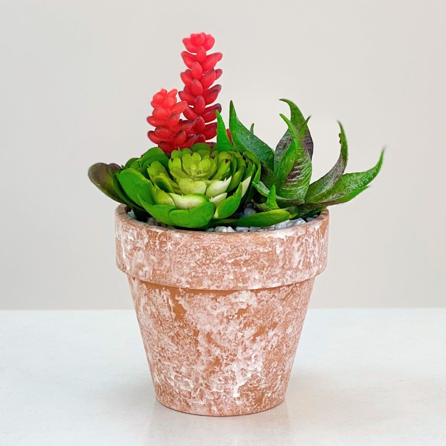 Succulent Arrangement in a Round Mud Pot