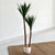 Double Yucca Faux Tree