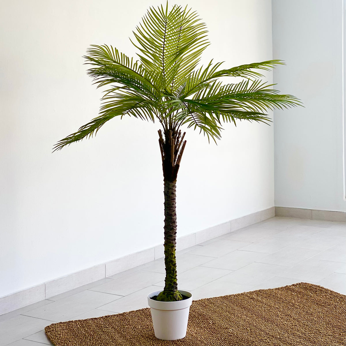 Areca Faux Palm Tree 64"
